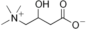 Carnitine structure.png
