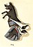 Coatofarms-Hoeg.jpg