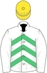 White and emerald green chevrons, white sleeves, yellow cap