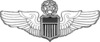 COMMAND PILOT WINGS.png