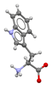 Tryptophan-from-xtal-3D-bs-17.png