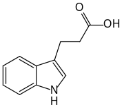 Skeletal structure diagram