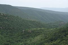 Sri Venkateswara National Park Tirumala Hills 01.jpg