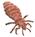Lice Body (cropped).png