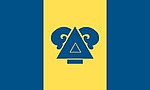 Delta Upsilon flag.jpg