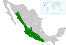 Artibeus hirsutus map.svg