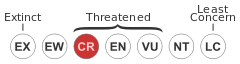 Status iucn3.1 CR.svg