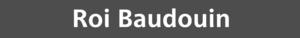 (STIB-MIVB) Panneau Baudouin.png