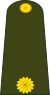 Argentina-Army-OF-3.svg
