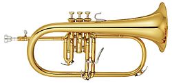 Yamaha Flugelhorn YFH-8310Z.jpg