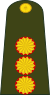 Argentina-Army-OF-8.svg