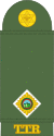 TaT-Army-OF-(D).svg