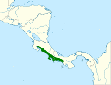 Pteroglossus frantzii map.svg