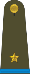 Mexican Military Mayor.gif