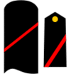 21arm.png