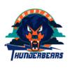 Houston ThunderBears logo