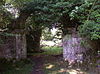Newminster Abbey ruins.jpg