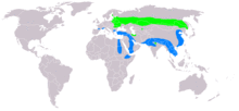 Aquila clanga distribution map.png