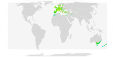 Eurasian Blackbird.png