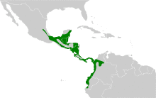 Pachysylvia decurtata map.svg