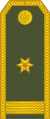 13-Montenegro Army-MAJ.svg