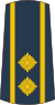 13-Serbian Air Force-LTC.svg