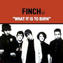 Finch what it is to burn.png