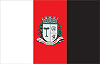 Flag of Taboão da Serra
