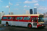 Bus with skyline.jpg