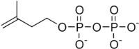 IPP.png