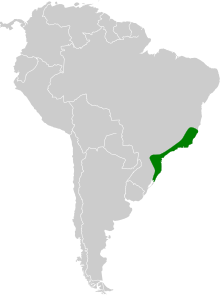 Ramphodon naevius map.svg
