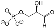 D-Glycerinaldehyde 3-phosphate deprotonated V1.svg
