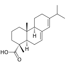 Abietic acid.svg