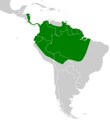 Myrmotherula axillaris map.svg