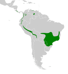 Philydor rufum map.svg