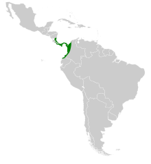 Vampyriscus nymphaea map.svg