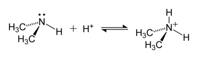 Dimethylammonium-formation-2D.png