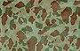Frog Skin camouflage pattern.jpg