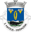 Coat of arms of São Mateus