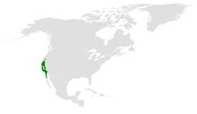 Baeolophus inornatus distribution map.png