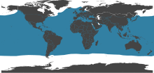 World distribution Swordfish.svg