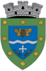 Coat of arms of Murfatlar