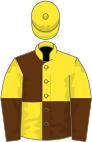 Yellow and brown (quartered), halved sleeves, yellow cap