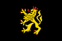 Flag of Palatinate