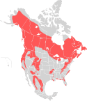 American black bear range