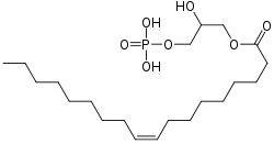 Lysophosphatidic acid.svg