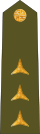 CzArmy 2011 OF1a-Nadporuchik shoulder.svg