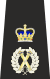 Met Assistant Commissioner Epaulette.svg