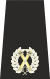 Met Commander Epaulette.svg
