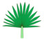 Leaf morphology posture plicate.png